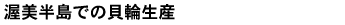 渥美半島での貝輪生産